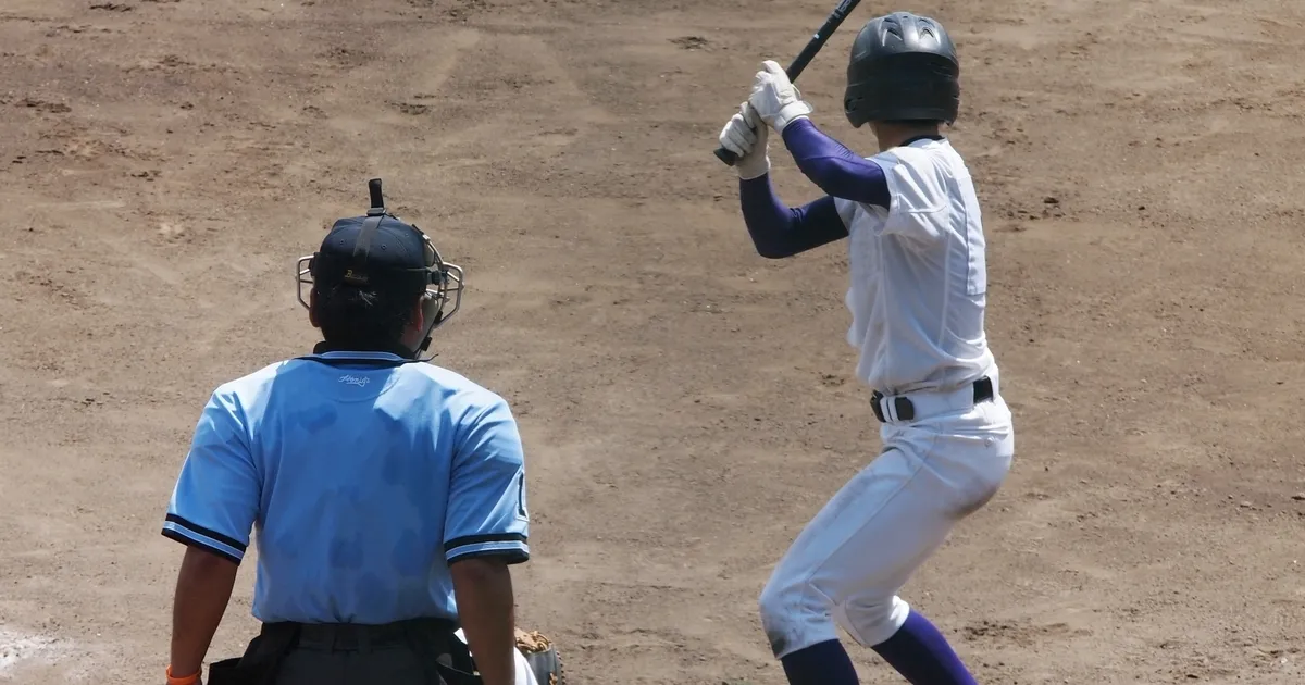 2014年夏の甲子園 全試合結果 (第96回全国高等学校野球選手権大会